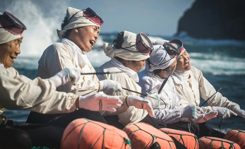 A group of legendary elder Haenyeo women free-divers wearing their diving gear, performing a traditional song and dance on the Jeju shoreline before heading out to sea.