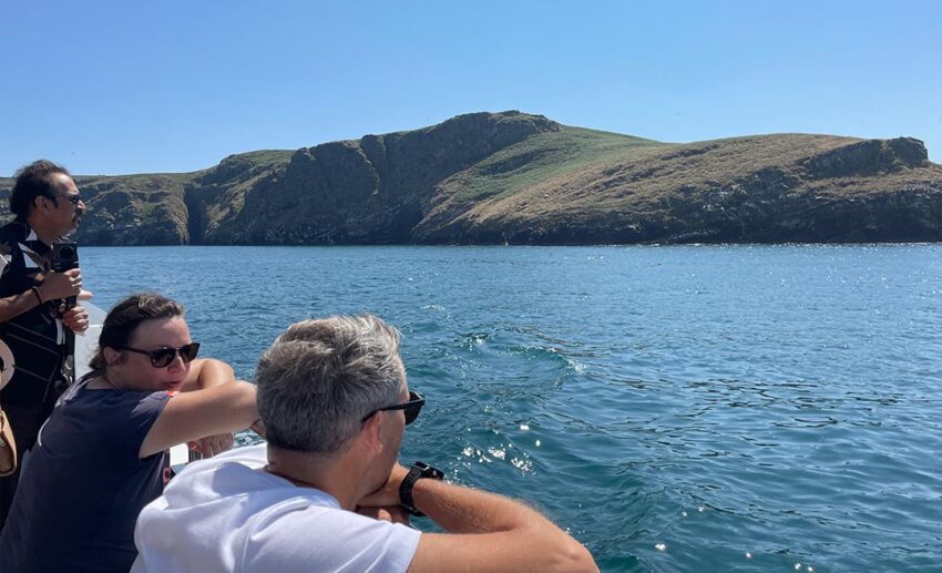 Passengers leaning over the railing of an excursion boat watching the surrounding coastal waters