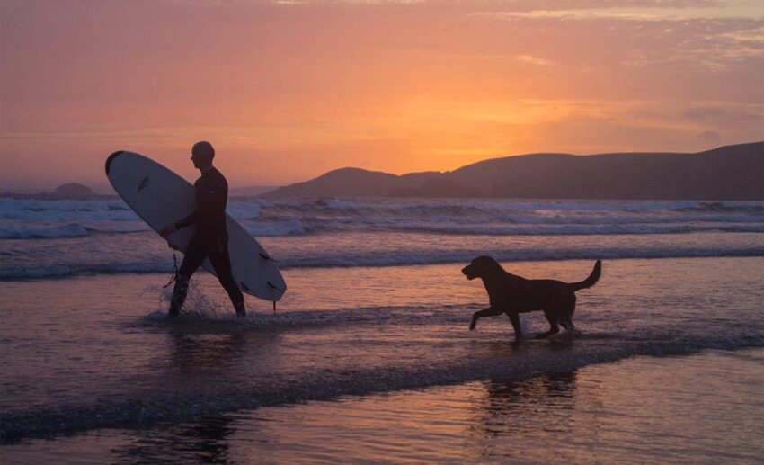 Silhouettes of a surfer holding a surfboard and his dog walking through shallow surf at sunset on Newgale Beach