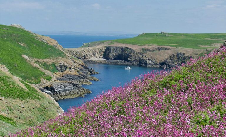 Of Puffins & Wild Shores: The Quiet Corners Of South Wales