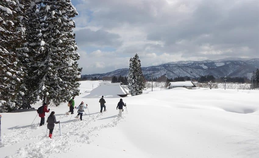 Snowshoers navigating through a snow-covered beech forest in the Nagano region of Japan.