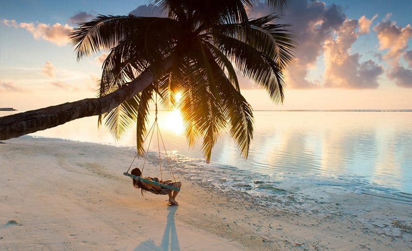 A person relaxing on a hammock hung between coconut trees near a calm, sparkling sea.