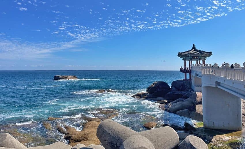 A sweeping view of the turquoise East Coast sea from an elevated lookout point during a solo bicycle ride in Sokcho.