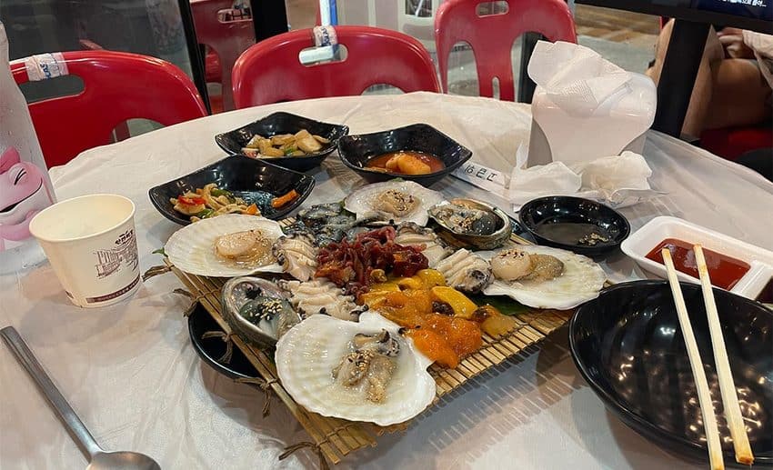 A two-image collage showing a slice of pizza from 'Don't Panic Pizza' on the left and a fresh local seafood spread in Sokcho on the right.