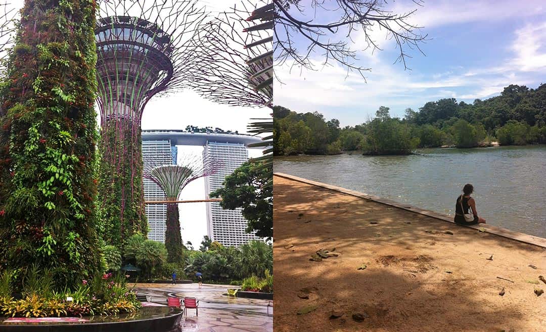 Collage showing a daytime view of the Supertree Grove at Gardens by the Bay in Singapore on the left, and Jessica Holmes sitting by the waterfront looking out across the sea on the right.